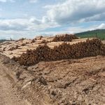 Вагонка, террасная доска, доска пола, имитация бруса, планкен.