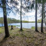 Загородный отдых в Ленинградской области. ДeРевня Озеро
