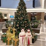 Новогодние ёлки   композиции и оформления  Установка